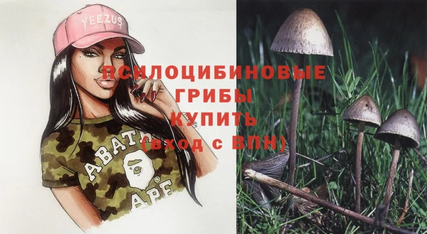 винт Аркадак