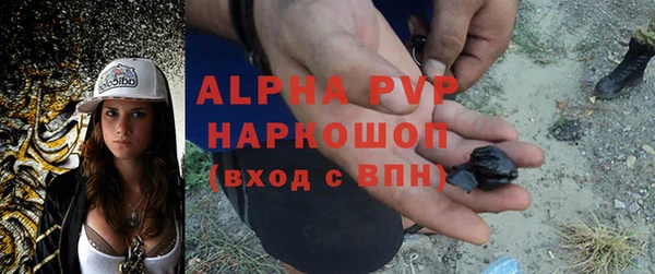 винт Аркадак