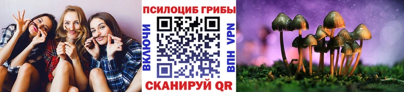 где найти наркотики  Сольвычегодск  Псилоцибиновые грибы ЛСД 