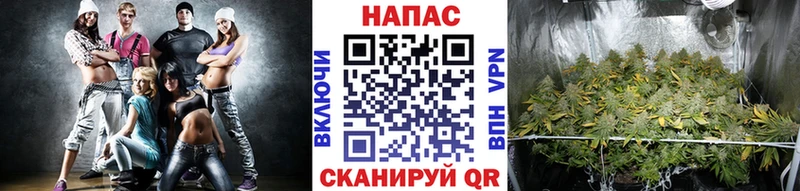 Бошки Шишки AK-47  Сольвычегодск 
